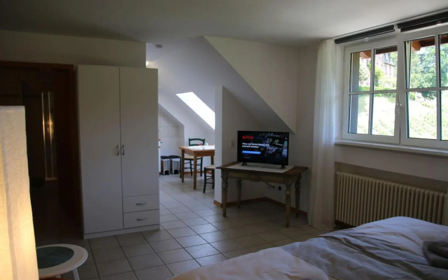 Wein Lodge Durbach - Schlossblick