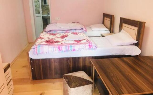 Guesthouse "Girgvliani"