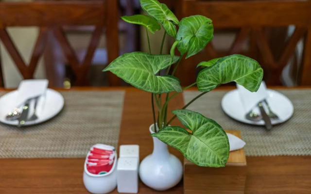 New Future Way Guest House