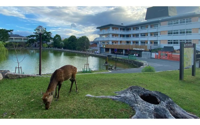 Hotel Tenpyo Naramachi - Vacation STAY 59515v