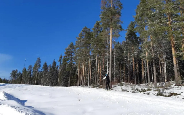 Skellefteå Camping