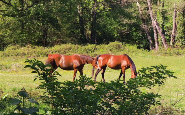 Piso amplio y luminoso, La Pomar