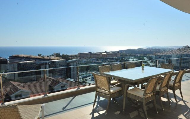 Elite Admiral Premium B810