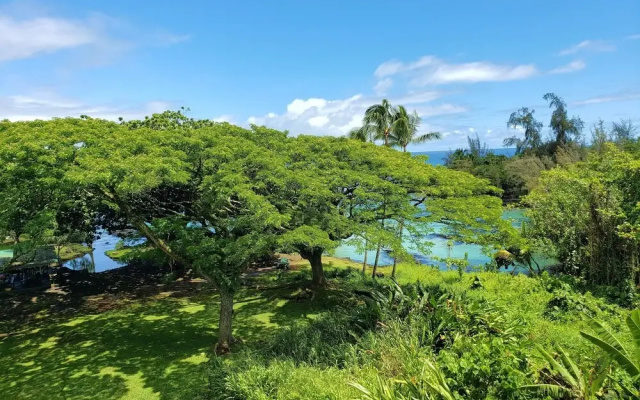 Mauna Loa Shores