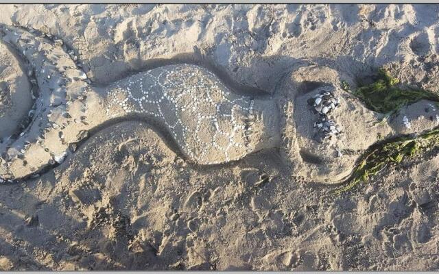 Strandhaus Vielmeer - exklusiv mit Sauna & Kamin direkt am Strand