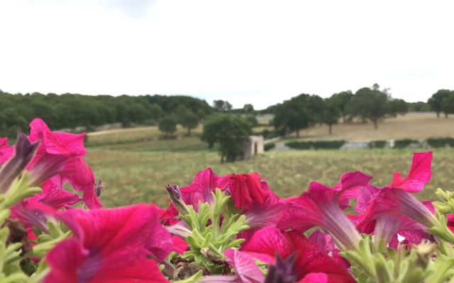 Aria di Casa Country Chic