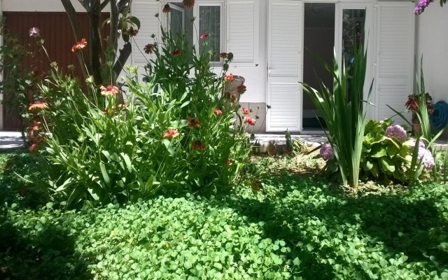 Apartment Tom - 500 m from sea: A1 Omis, Riviera Omis