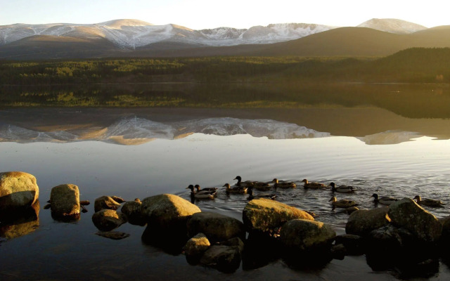 Macdonald Aviemore Hotel