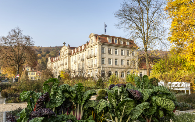 Dorint Resort & Spa Bad Bruckenau