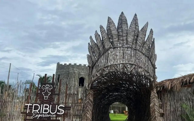 TRIBUS Experience Inn