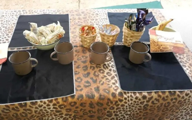 Kruger Park Tours