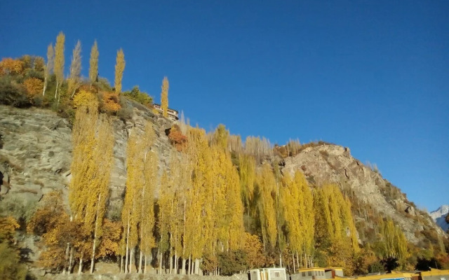 Northern Sapphire Hunza
