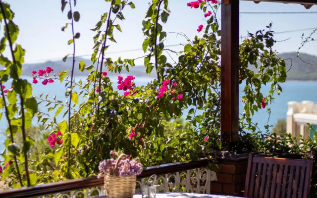Cunda Zeytindal? Otel
