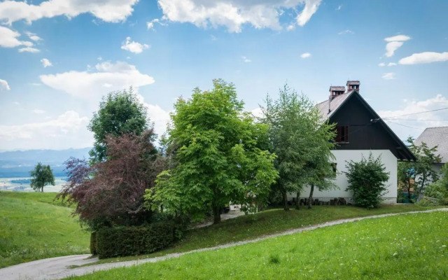 Chalet Vista