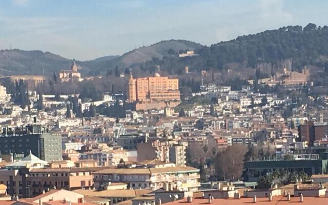 Golondrinas de la Alhambra