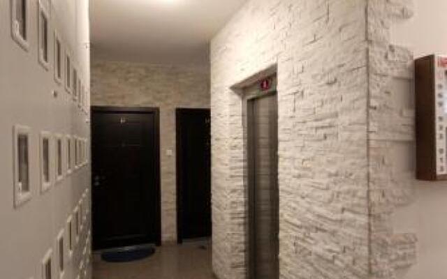 Apartment Gosposhtina 219