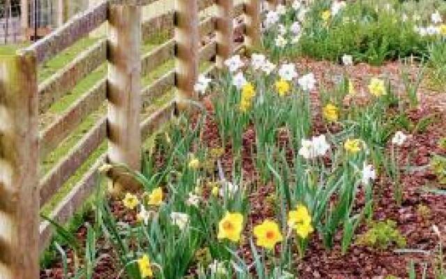 Loch Sloy Farmstay