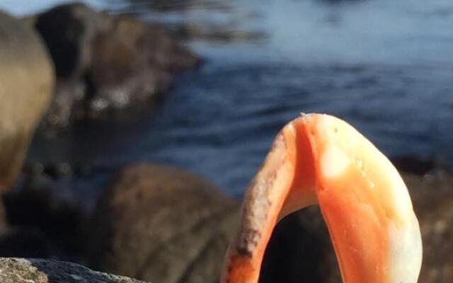 Green Life Garden Studio