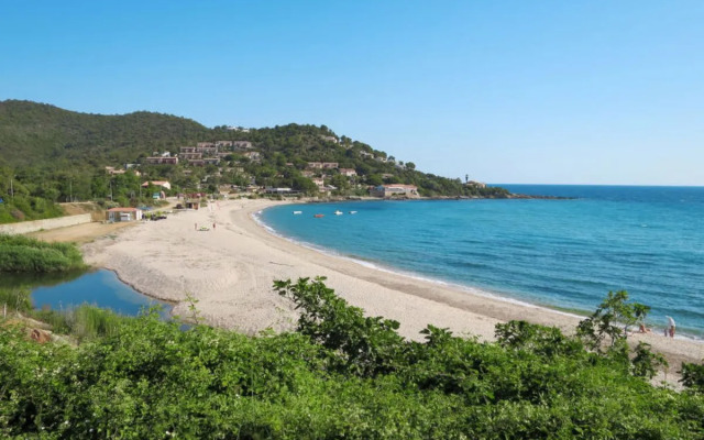 Stella di Mare (TAR130)