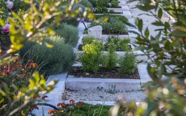 Tenuta del Lauro