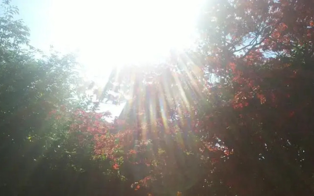 Gästehaus Pension Haus Heine