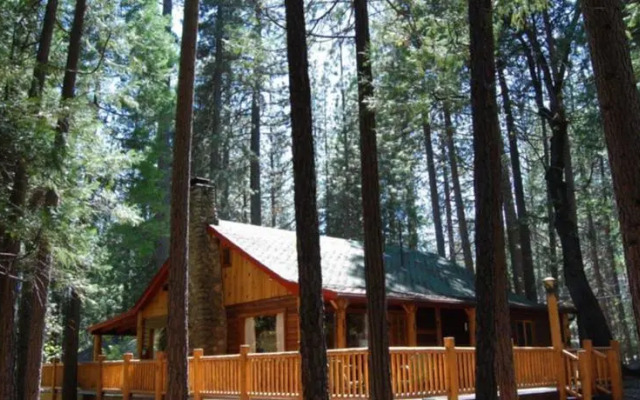 RedAwning Cabin #79 Half Dome