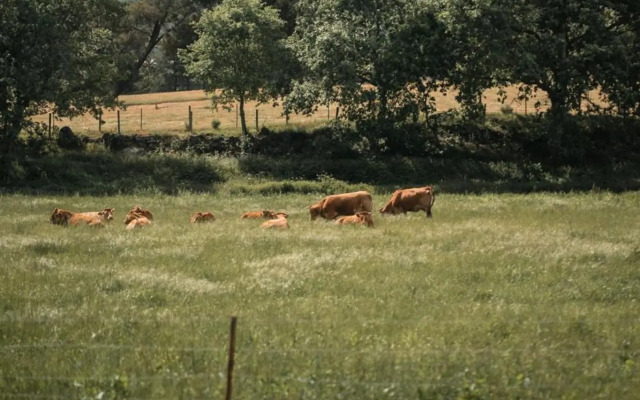 Quinta Do Rio Noémi