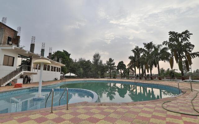 Palette - Golden Pond