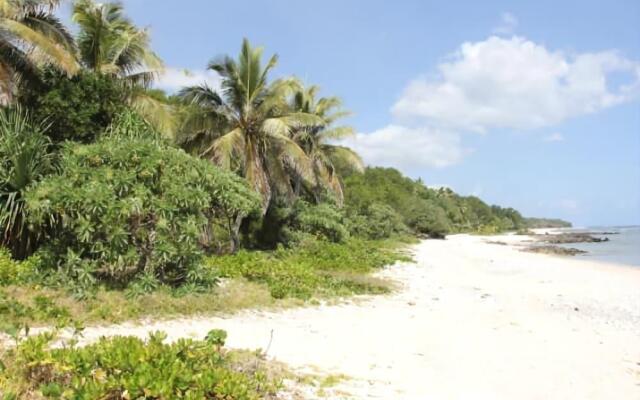 Alofa Beach Bungalows