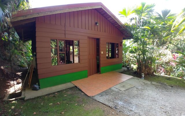 Selva Color Forest & Beach Ecolodge