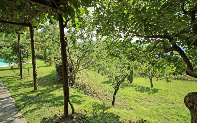 Nice Villa with Private Pool & Large Garden near Cortona