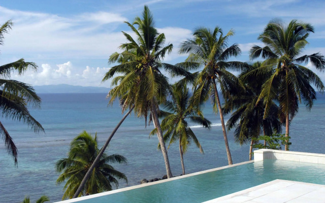 Taveuni Palms