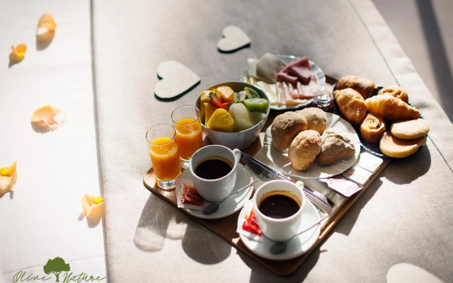 Olive Nature Hotel & SPA - Quinta Valle de Passos