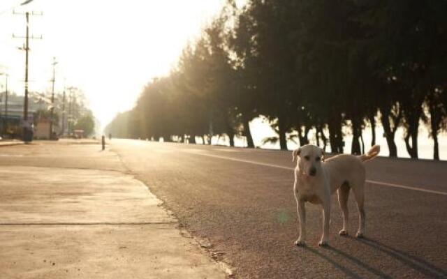 Grand blue condominium by Lookkaew