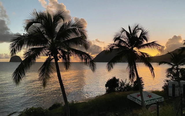 Studio Jungle Diamond