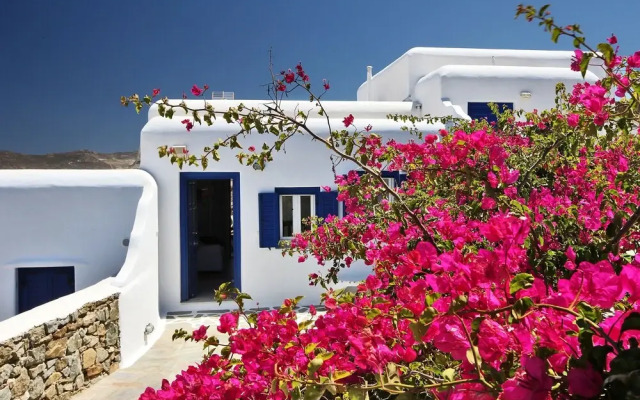 Fulfill Your Holiday Dreams at Panormos