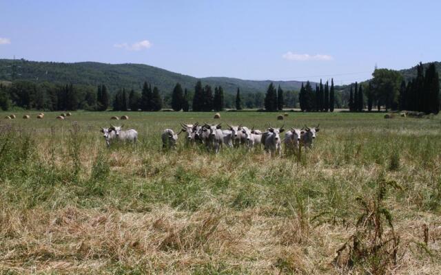 Bio Tenuta di Paganico - I Roggeti