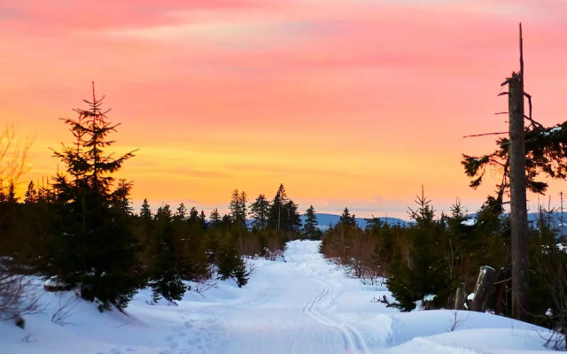 Apartment Near Kurpark Lake