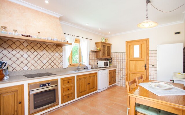 Can Boi Den Cifre in Pollen a