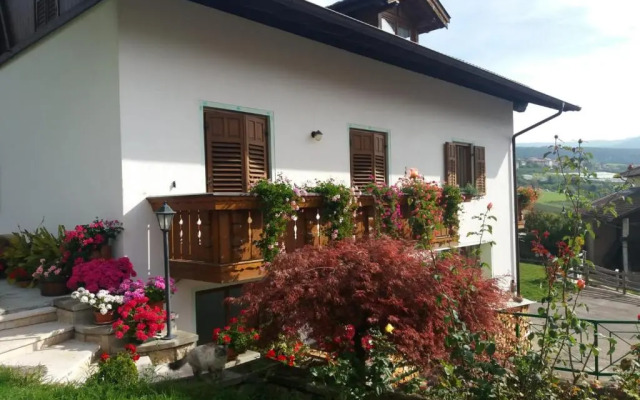 Appartamento Cologna