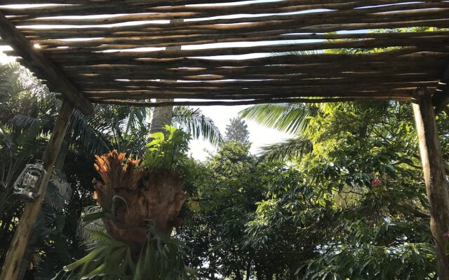 Beach Forest Lodge
