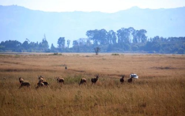 Mlilwane Rest Camp