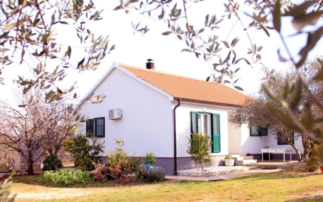 Pavica K - H