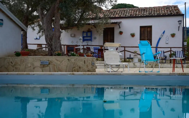 Easy Welcome Salvia - Cartolari County Apartments