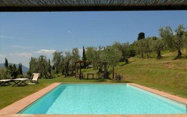 Fattoria Mansi Bernardini B&B