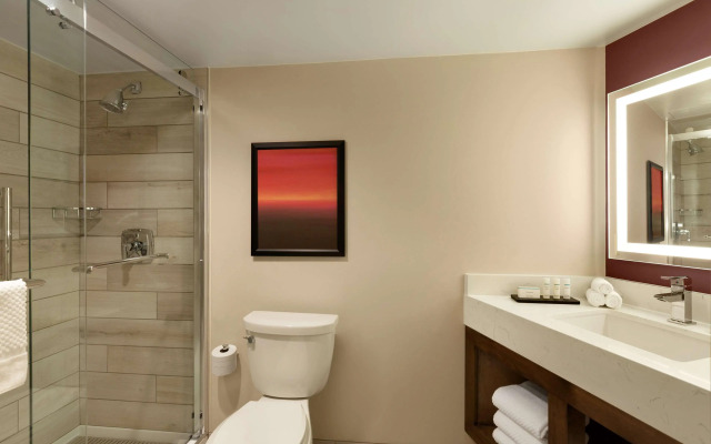 Embassy Suites by Hilton Phoenix Downtown North