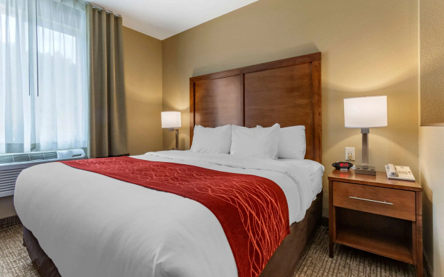 Comfort Inn & Suites Near Mt. Rushmore