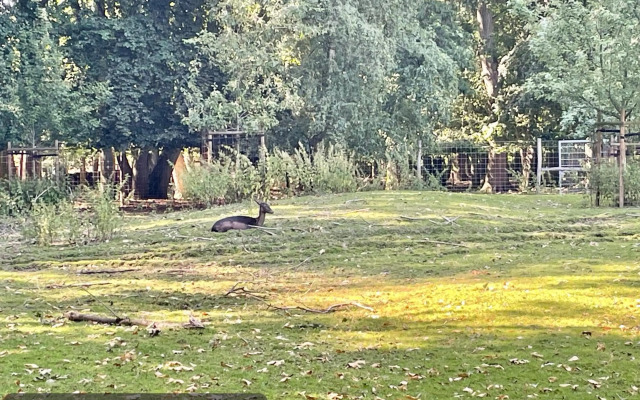 CITY-Apartment in TOP-Lage, WLAN, NETFLIX, Boxspringbett