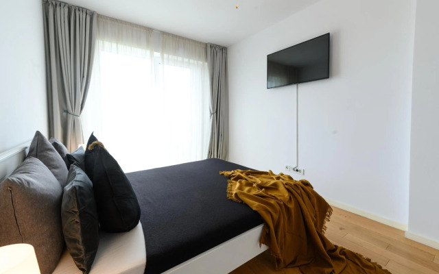 North Artistique - Aviatiei