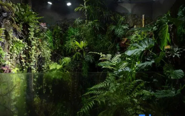 Wuzhen View Homestay